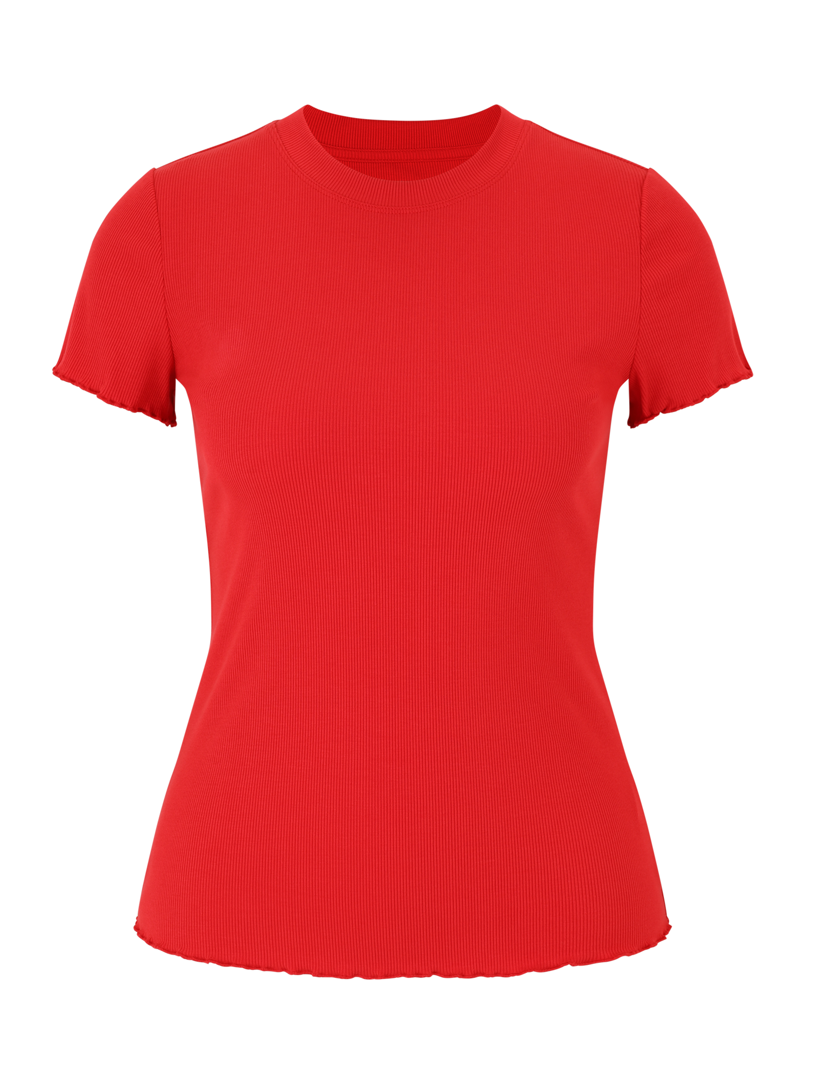 bundle-image:Salsa